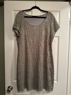 Tiana B. Sz XXL Scoop Neck Lace Overlay Dress in Light Sage Green